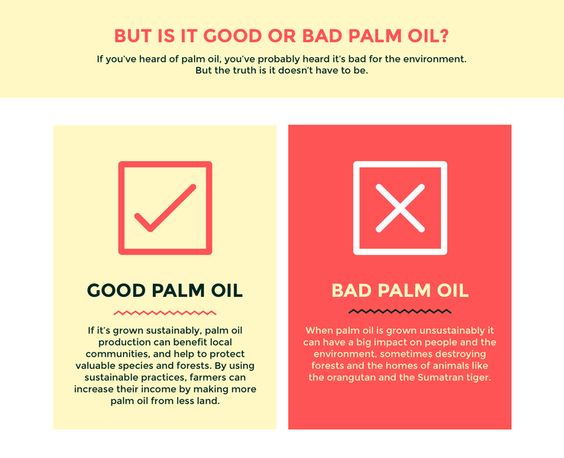 Good or Bad Palm Oil