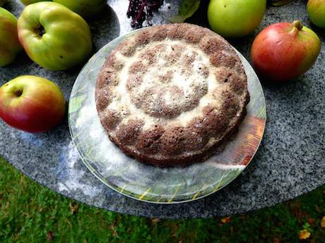 Apple Raisin Cake
