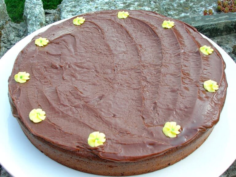 A round chocolate yogurt cake with chocolate fudge icing with yellow sugar flowers on top.