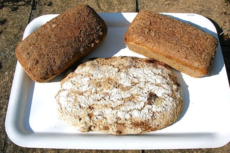 Chocolate chilli lime bread loaf with two rye sourdough loaves.