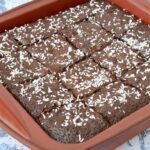 Pan of homemade fudgy coconut brownies cut into squares.