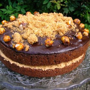 Two layer coffee praline cake with chocolate ganache.