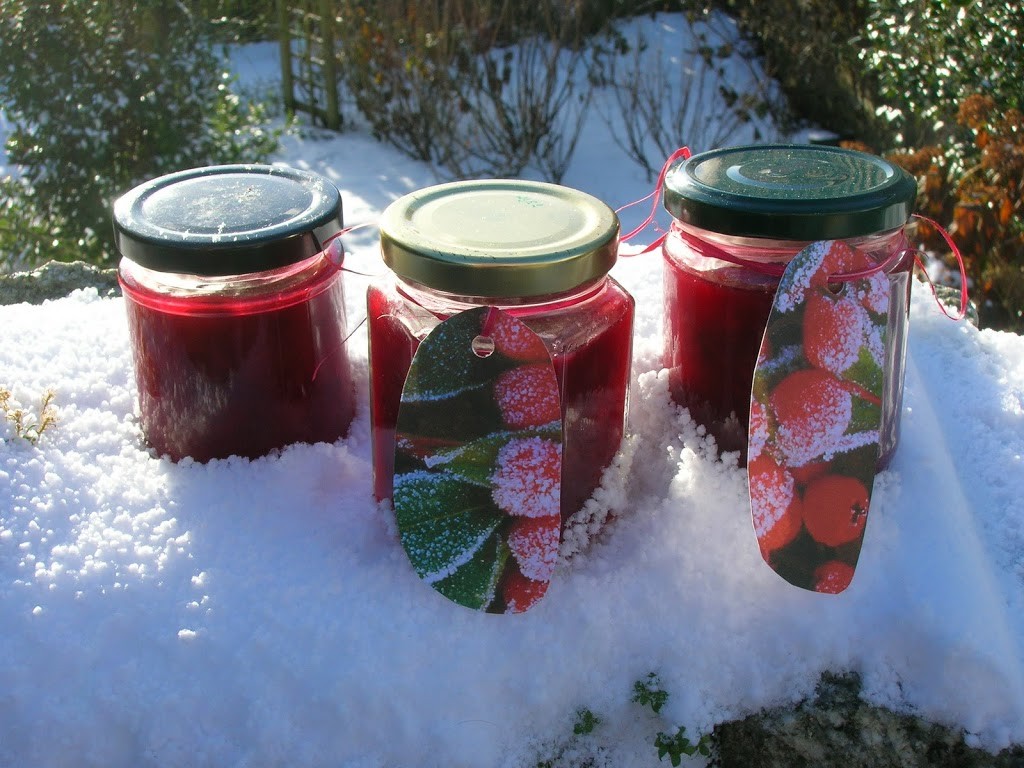 Three jars of cranberry, orange and redcurrant sauce sitting in the snow.
