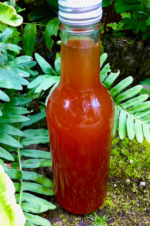 A bottle of homemade rosehip syrup standing amongst garden ferns.