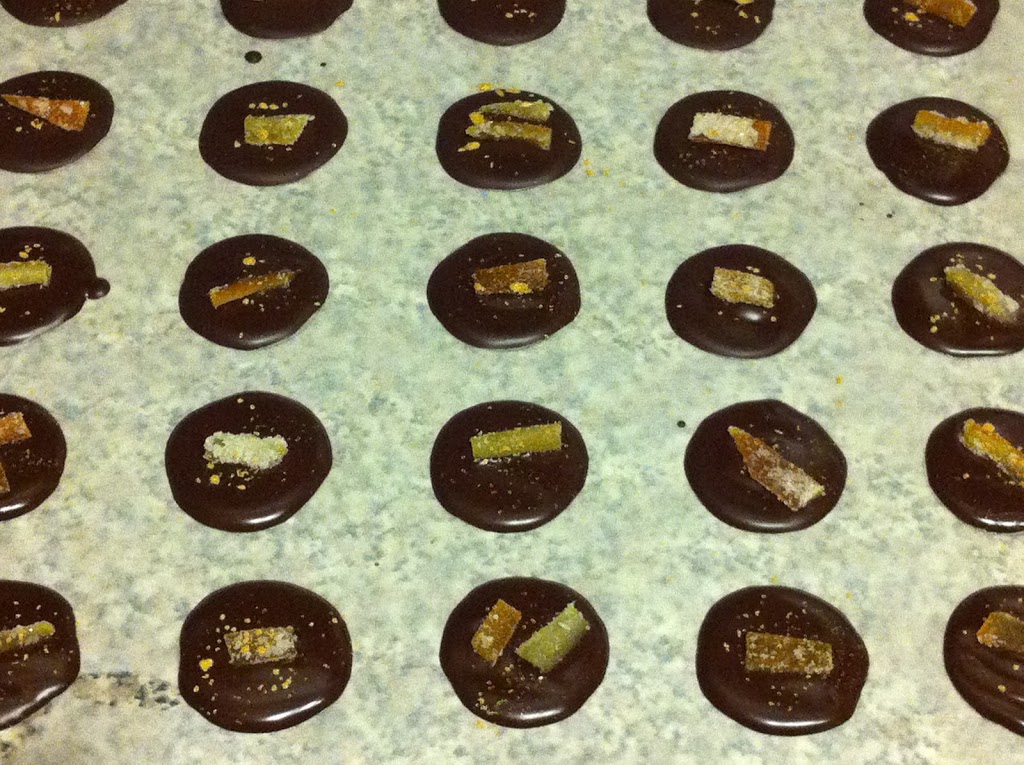 Dark Chocolate Mendiants - French Chocolate Buttons.