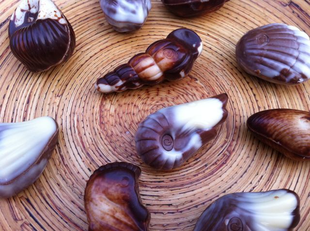 Guylian Sea Shells