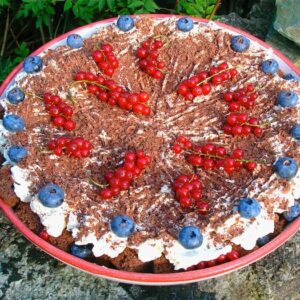 Chocolate tiramisu with summer fruits topped with redcurrant strigs.