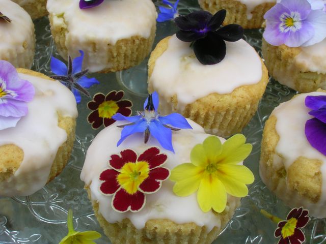 Rhubarb Pudding Fairy Cakes with Edible Flowers.