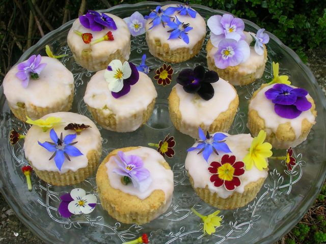 Rhubarb pudding fairy cakes with edible flowers.