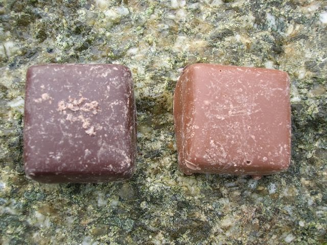 Cowes Chocolate Caramel Squares