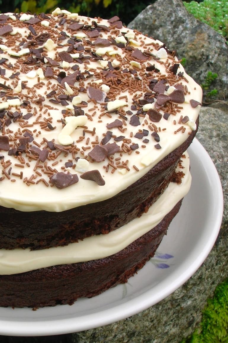 A partial view of a two layer tiramisu cake with chocolate sprinkles.