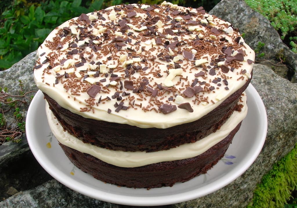 A two layered tiramisu cake with chocolate sprinkles.