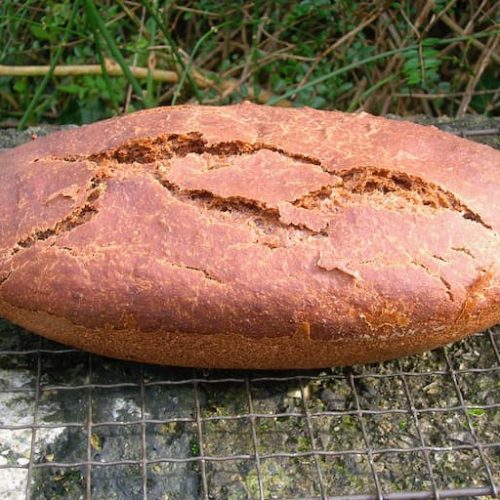 Noknead Spelt Bread with Cocoa and Molasses Tin and Thyme