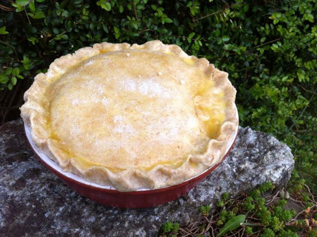 Rhubarb Pasty Pie with crimped edges.