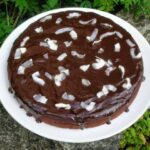 Gluten-free coconut chocolate cake made with chickpea flour.