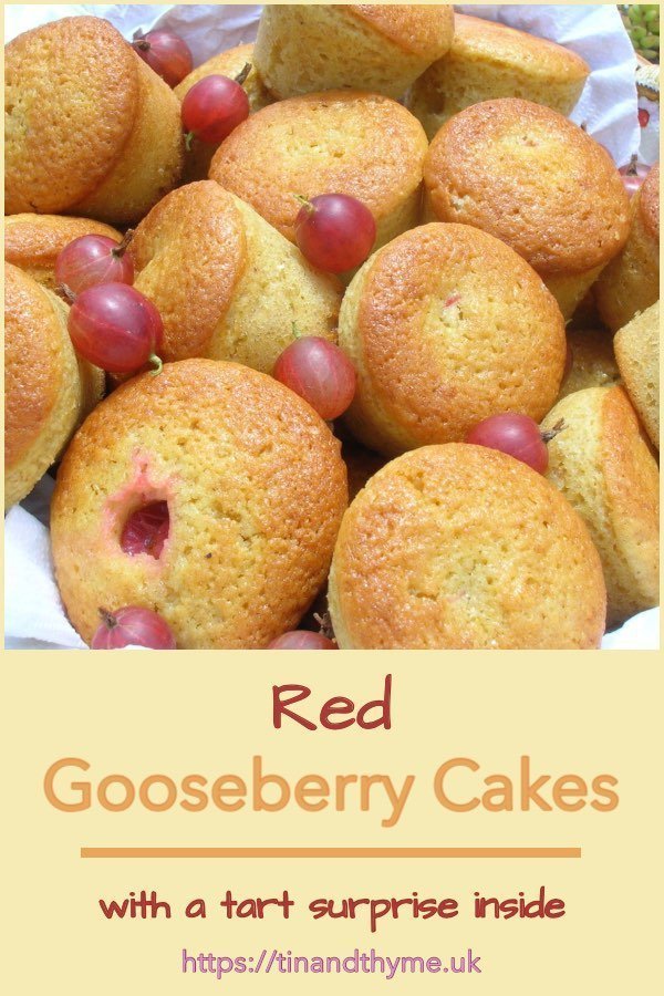 Red Gooseberry Cakes