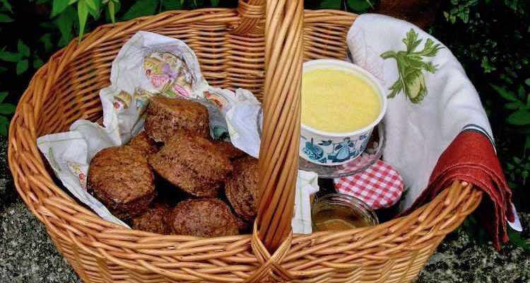 Rich Dark Chocolate Scones