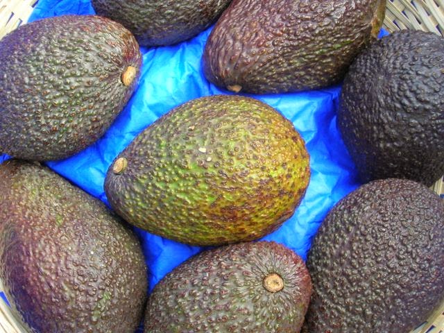 Peruvian Hass Avocados