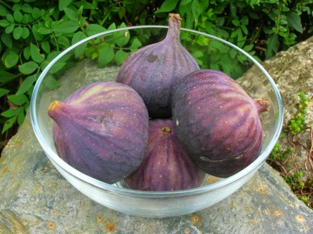 Seasonal Figs