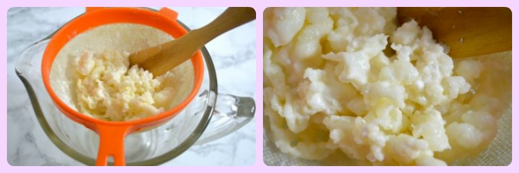 Two images of kefir grains.