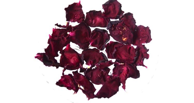 Rose Petals –