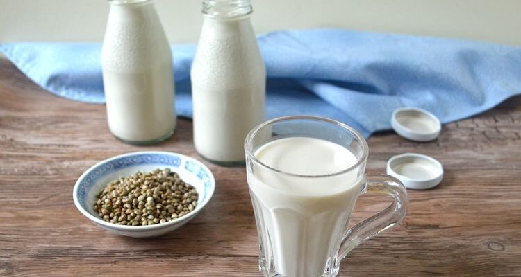 Hemp Milk - how to make it from hemp seeds.