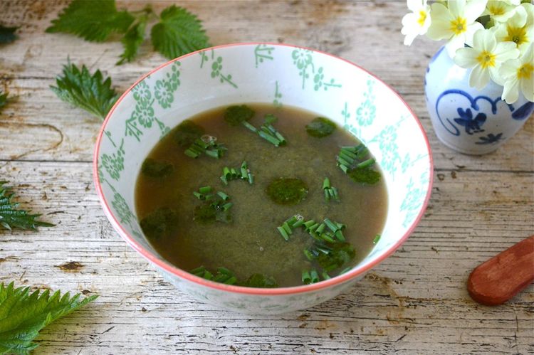 Vegan Nettle Soup