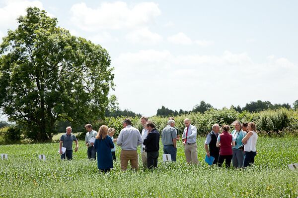 White's Oat Trials Day at Abbey Farm