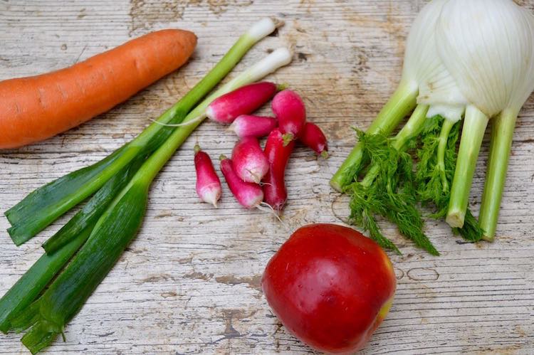 Spring Slaw - Fennel, Carrot, Radish & Apple