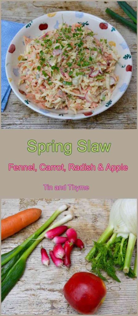 Spring Slaw with Fennel, Carrot, Radish & Apple.