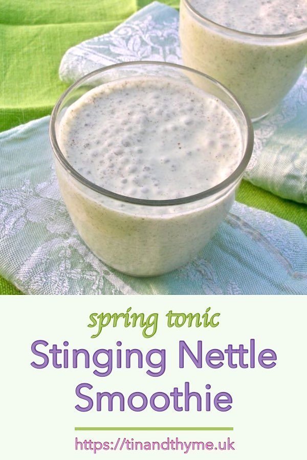 Spring Tonic Nettle Smoothie.
