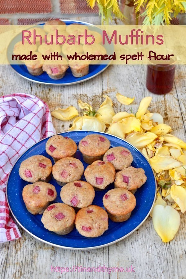 24 mini spelt rhubarb muffins on two blue plates.