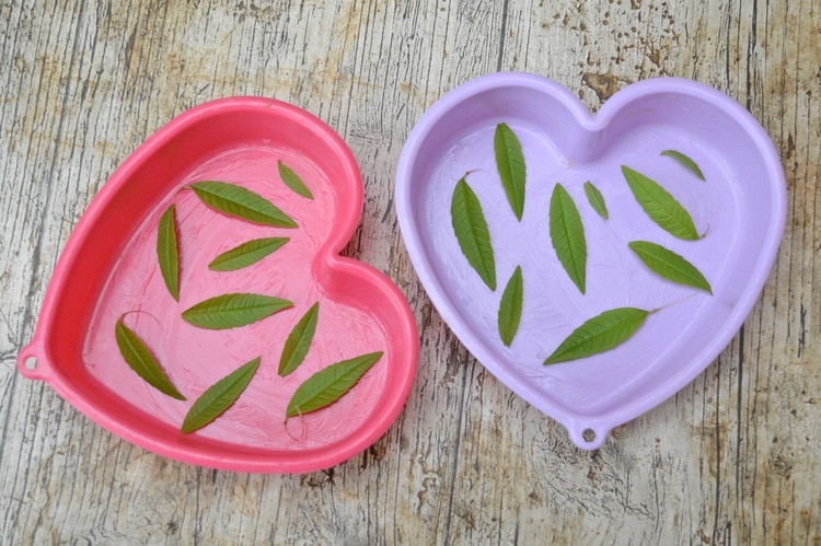 Lemon verbena leaves laid on the base of two silicone cake moulds.