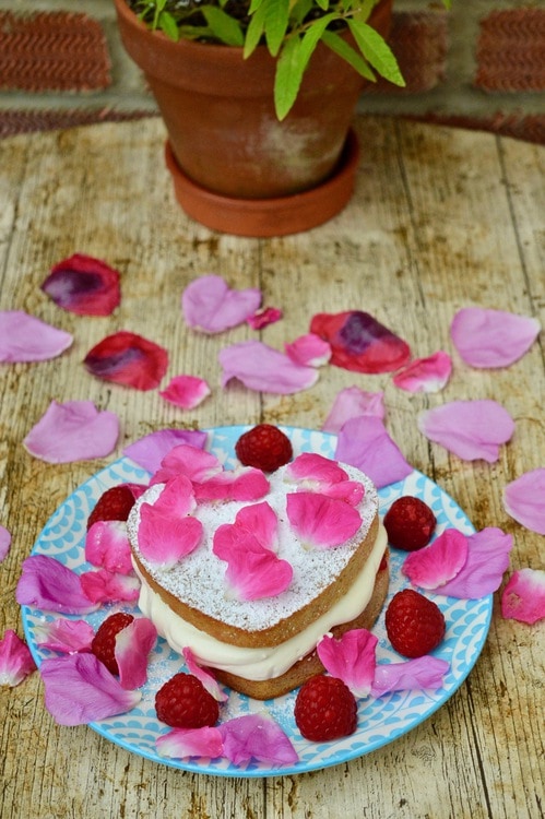 Raspberry Cream Sponge Cake scattered with fresh raspberries and rose petals and a pot of lemon verbena in the background.