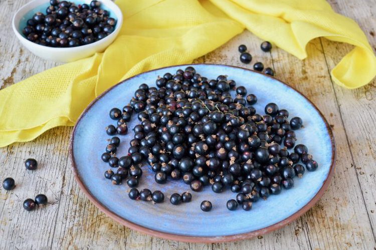 A plate and bowl brimming with beautiful blackcurrants.