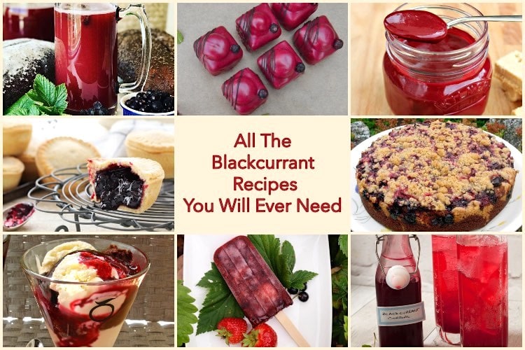 All the blackcurrant recipes you will ever need.
