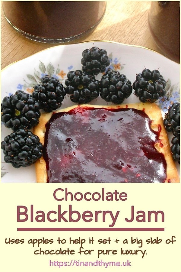 Seedless chocolate blackberry jam spread over a cracker.