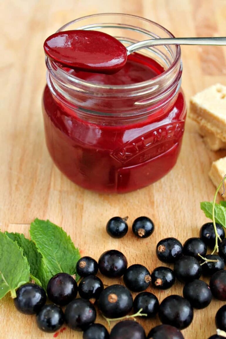 All The Blackcurrant Recipes You Will Ever Need Tin and Thyme