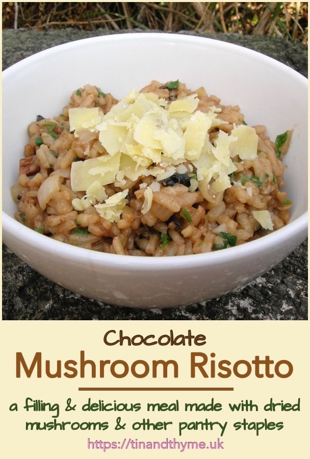 Chocolate & Dried Mushroom Risotto