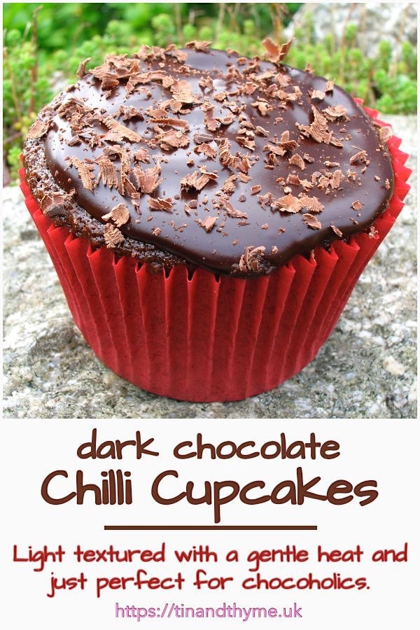 A single dark chilli chocolate cupcake in a red case.