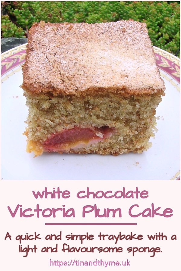 A square of Victoria plum cake with white chocolate.
