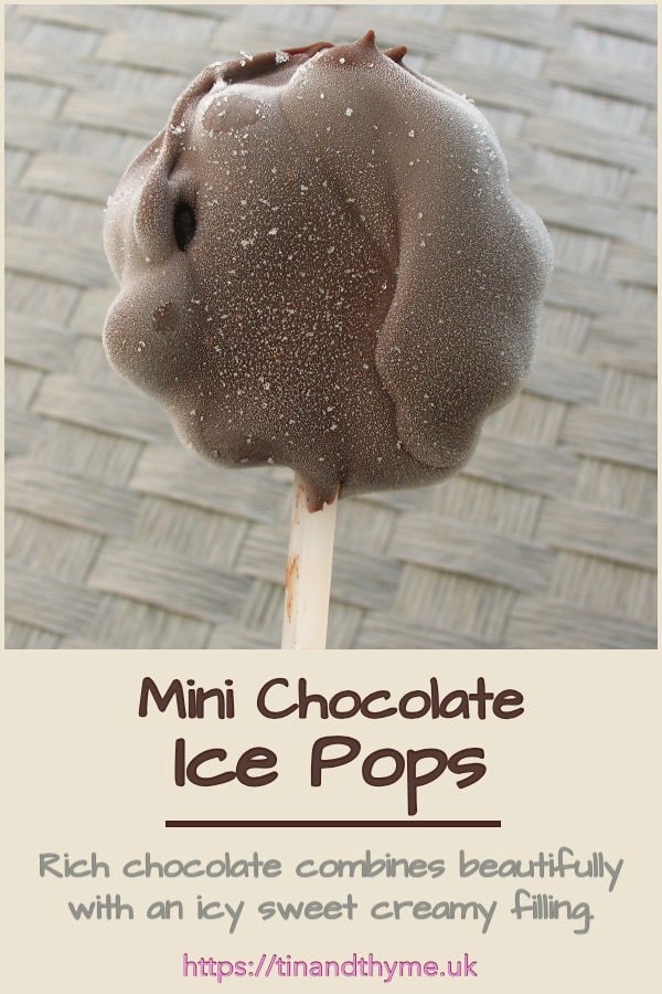 Mini Chocolate Ice Pop aka Chocolate Coated Ice Cream