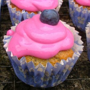 Sugar Free Lemon Blueberry Cupcakes