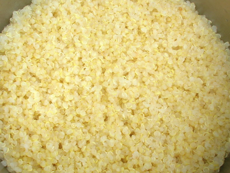 Cooked Quinoa