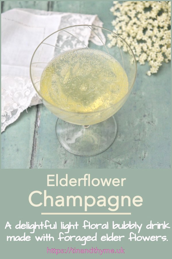 Glass of bubbling homemade elderflower champagne.