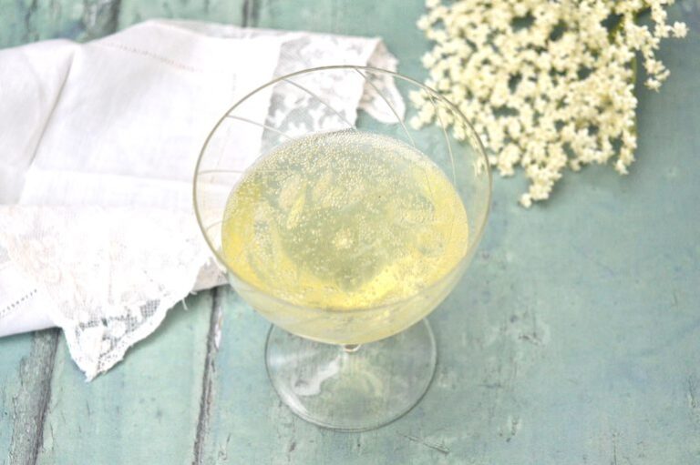 Glass of bubbling homemade elderflower champagne.