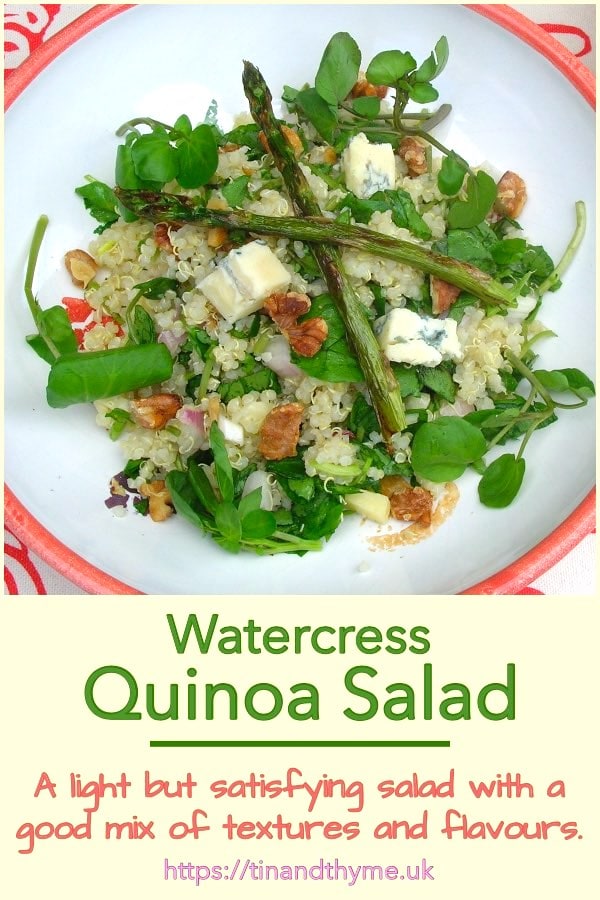 A bowl of quinoa salad with watercress, walnuts, blue cheese and roasted asparagus.