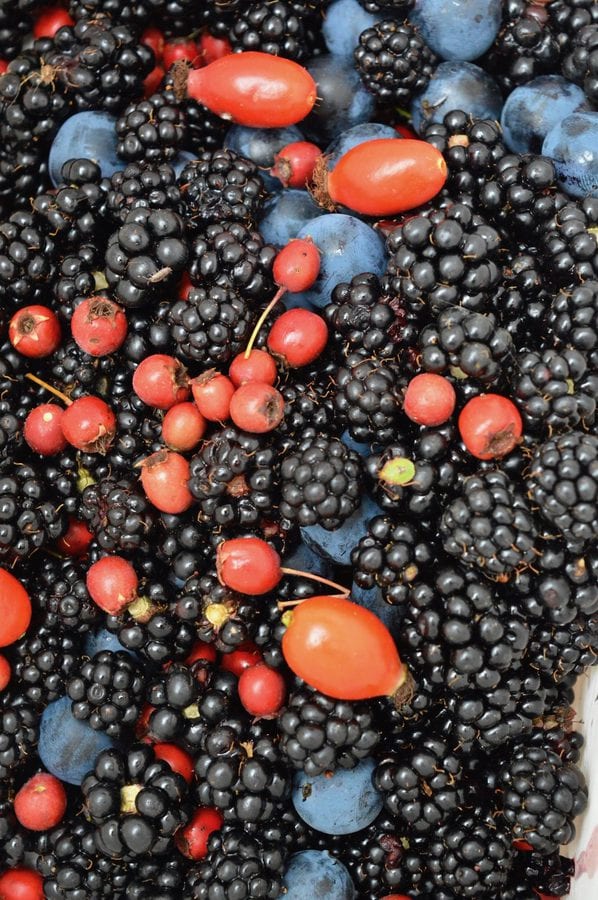 Foraged autumn fruit: blackberries, hawthorn berries, sloes and rosehips.