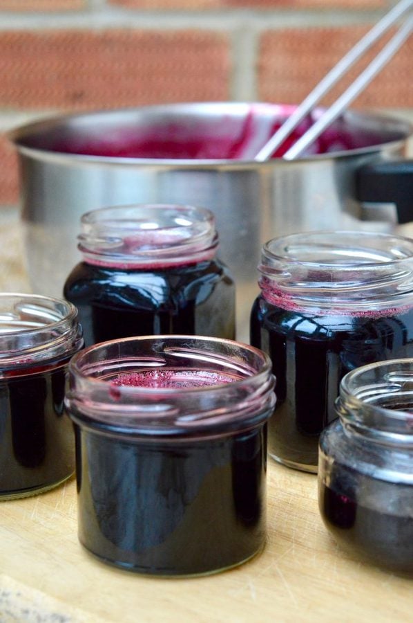 Jars of hedgerow jelly.