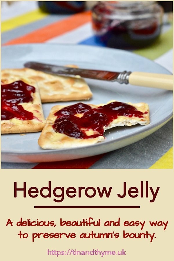 Hedgerow jelly spread on a cracker.